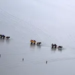 Seehuette 5,24 Cuxhaven