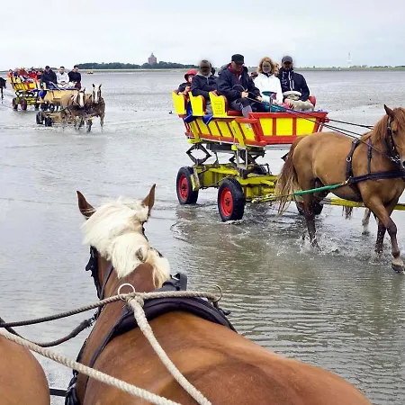 Apartmán Seehuette 5,24 *